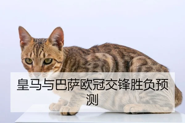 皇马与巴萨欧冠交锋胜负预测